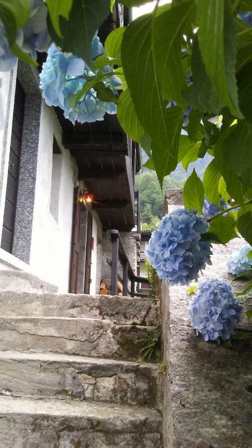 Вилла Casa Zizi Кродо Экстерьер фото